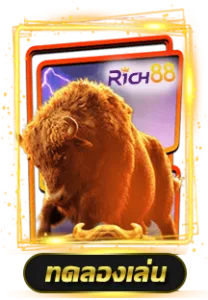 rich88